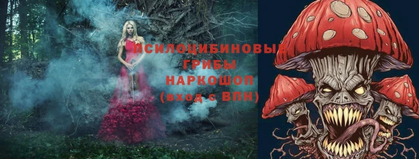 spice Верхний Тагил